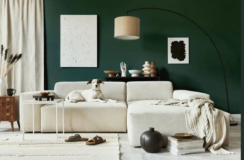 Benjamin Moore Goodwin Green cozy living room