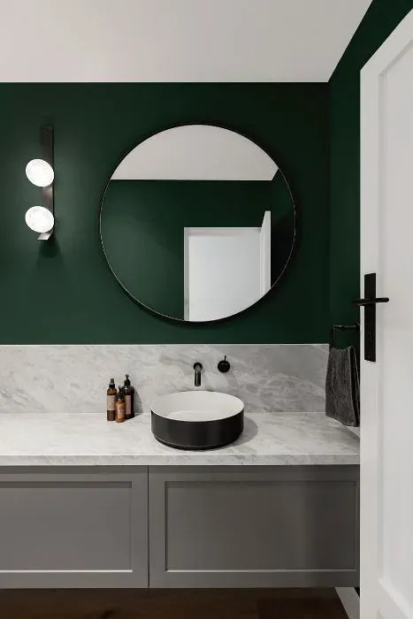 Benjamin Moore Goodwin Green minimalist bathroom