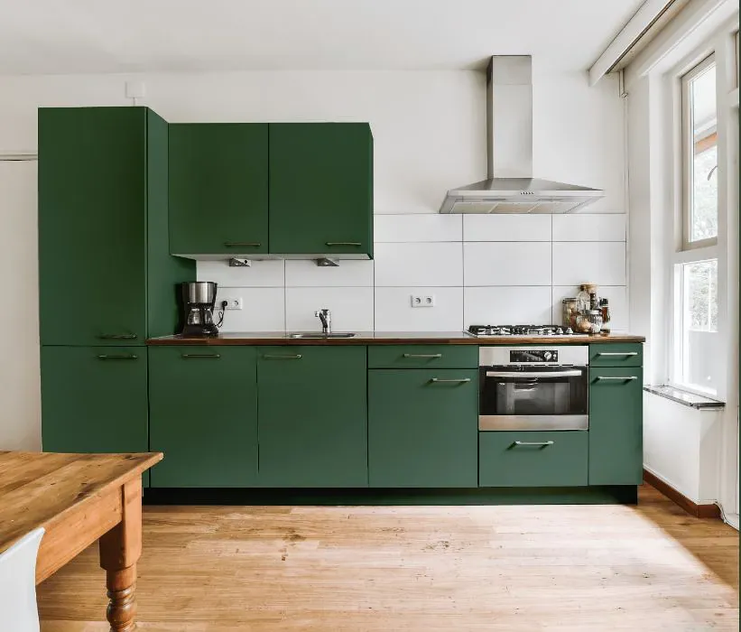 Benjamin Moore Gothic Green kitchen cabinets