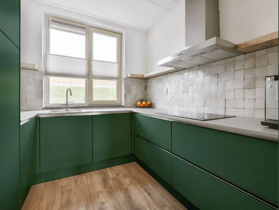 Benjamin Moore Gothic Green small kitchen cabinets