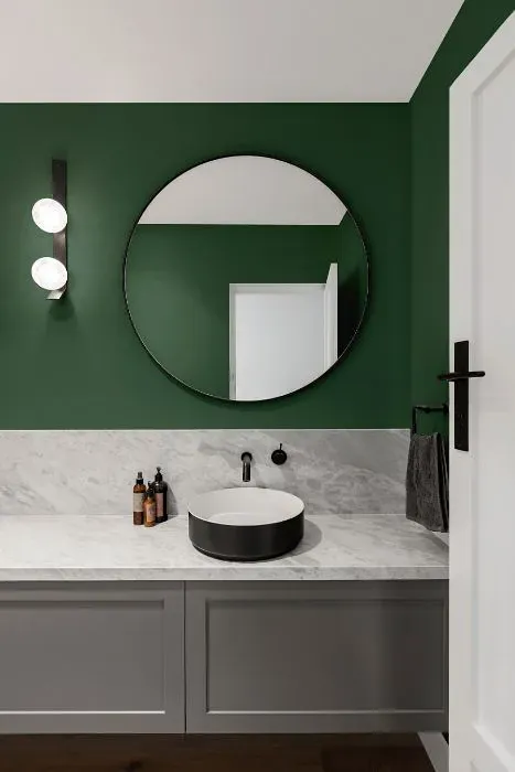 Benjamin Moore Gothic Green minimalist bathroom