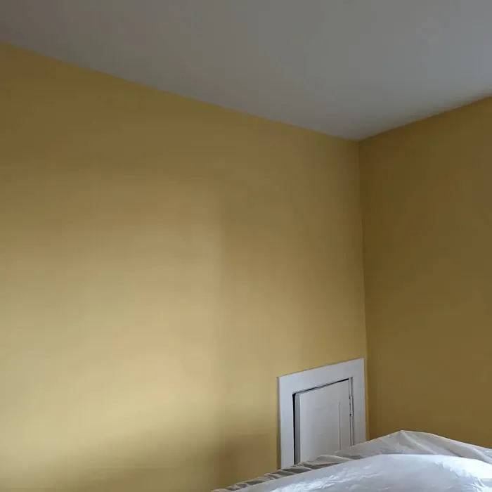 Benjamin Moore Governor's Gold wall paint review