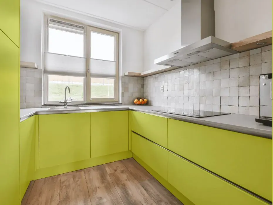 Benjamin Moore Grape Green small kitchen cabinets