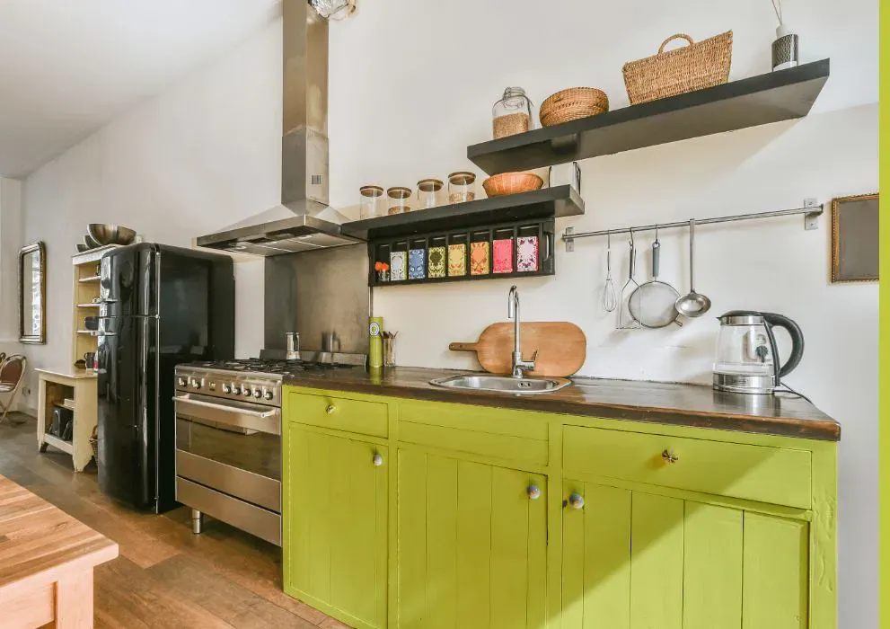 Benjamin Moore Grape Green kitchen cabinets