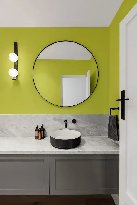 Benjamin Moore Grape Green minimalist bathroom