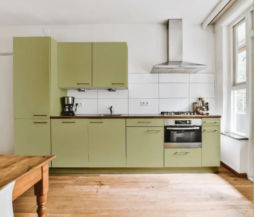 Benjamin Moore Grasshopper kitchen cabinets