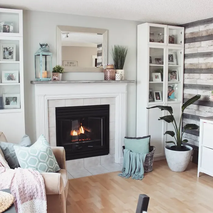 Gray Cashmere Living Room Fireplace