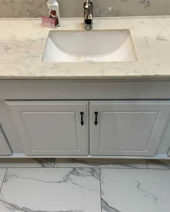 Benjamin Moore Gray Cloud bathroom vanity 