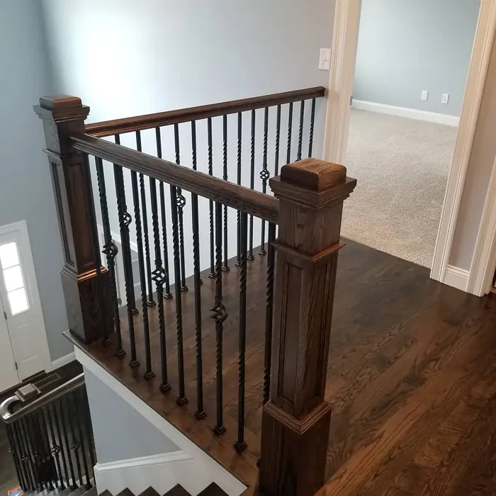 Gray Timber Wolf Stairs