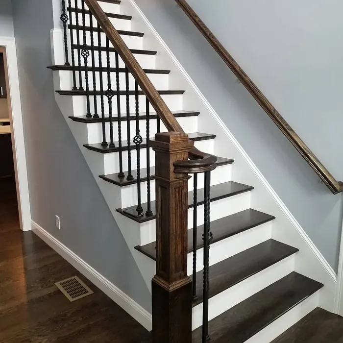 Gray Timber Wolf Stairs