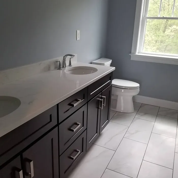 Gray Timber Wolf Bathroom