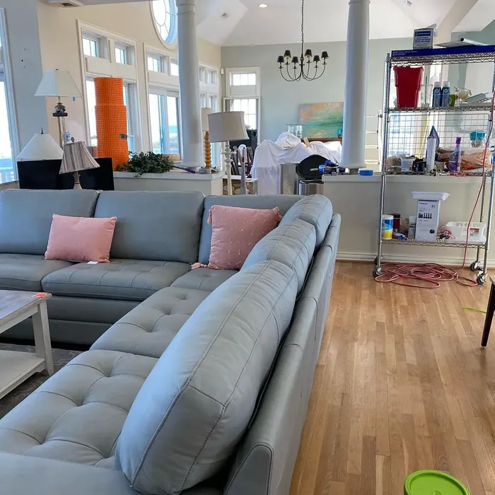 Gray Wisp Living Room