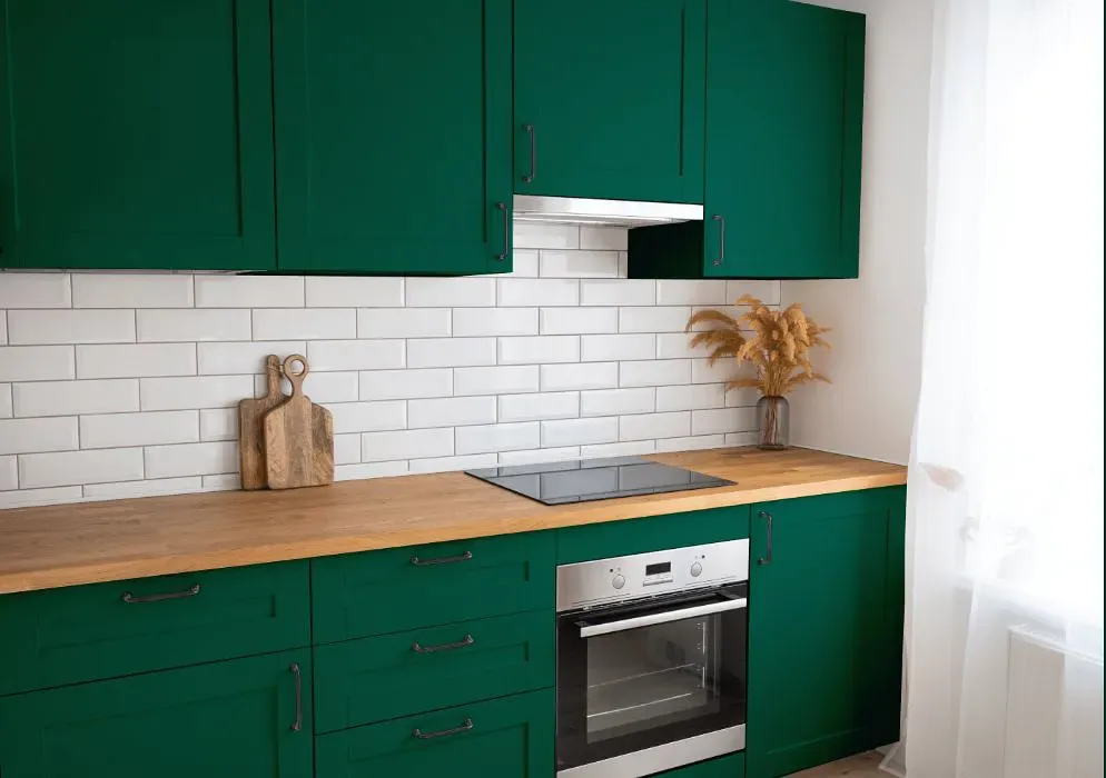 Benjamin Moore Green Bay kitchen cabinets