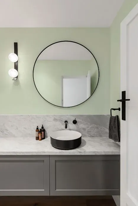 Benjamin Moore Green Essence minimalist bathroom