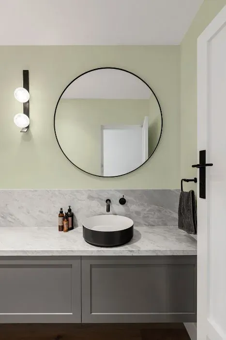 Benjamin Moore Green Frappé minimalist bathroom