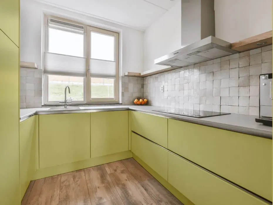 Benjamin Moore Green Hydrangea small kitchen cabinets