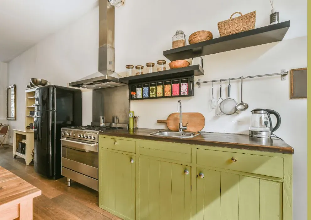 Benjamin Moore Green Hydrangea kitchen cabinets