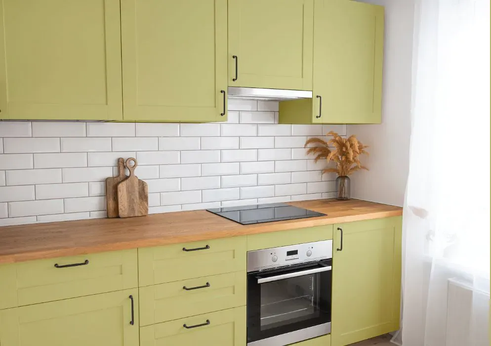 Benjamin Moore Green Hydrangea kitchen cabinets