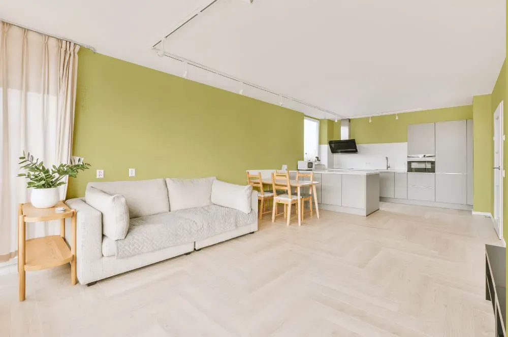 Benjamin Moore Green Hydrangea living room interior