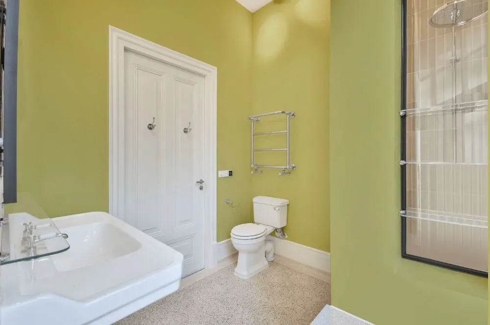 Benjamin Moore Green Hydrangea bathroom