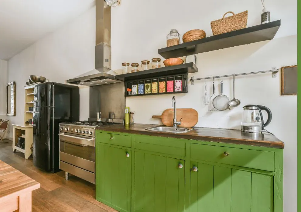 Benjamin Moore Green Thumb kitchen cabinets