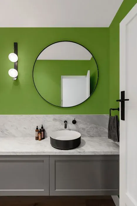 Benjamin Moore Green Thumb minimalist bathroom