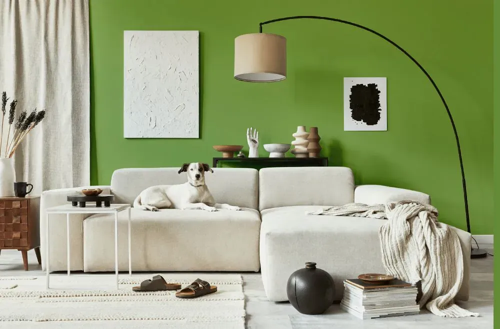 Benjamin Moore Green Thumb cozy living room