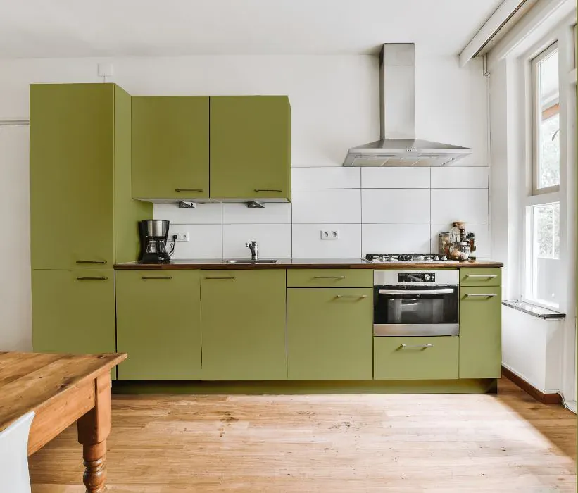 Benjamin Moore Greenhow Moss kitchen cabinets