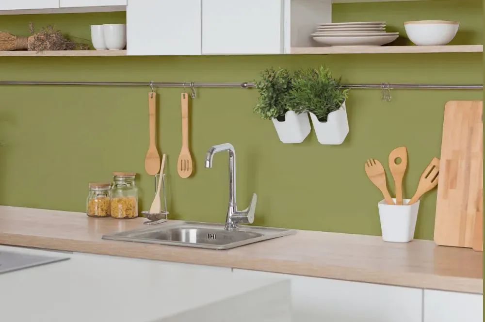 Benjamin Moore Greenhow Moss kitchen backsplash