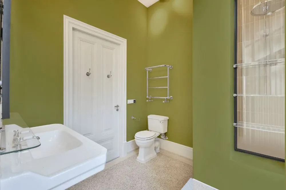 Benjamin Moore Greenhow Moss bathroom