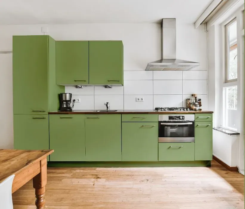 Benjamin Moore Grenada Green kitchen cabinets