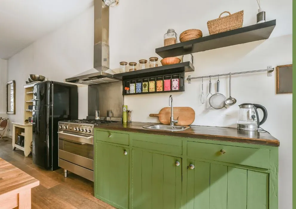 Benjamin Moore Grenada Green kitchen cabinets