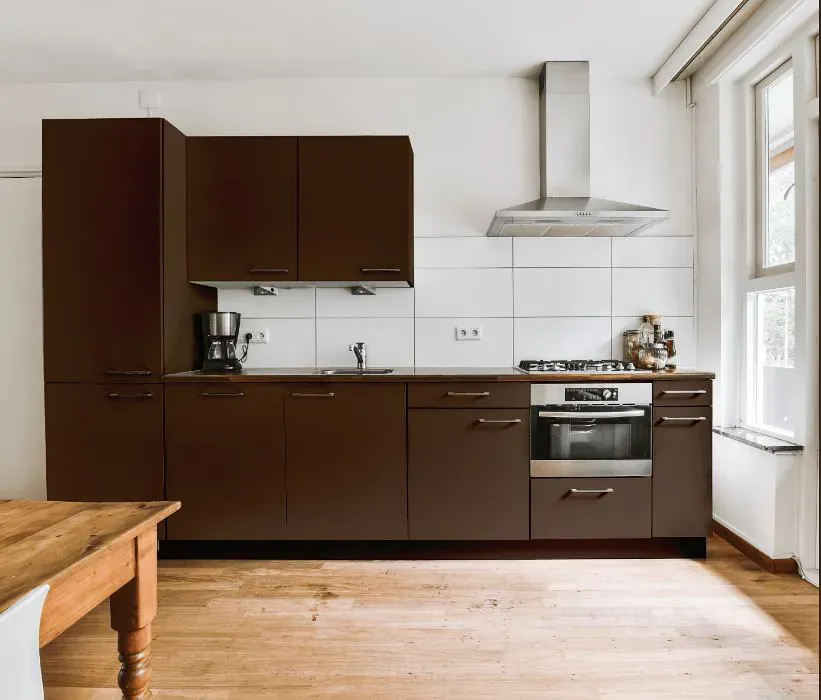 Benjamin Moore Grizzly Bear Brown kitchen cabinets