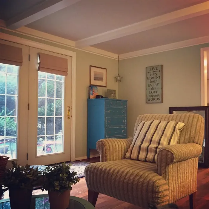 Benjamin Moore HC-116 living room color review