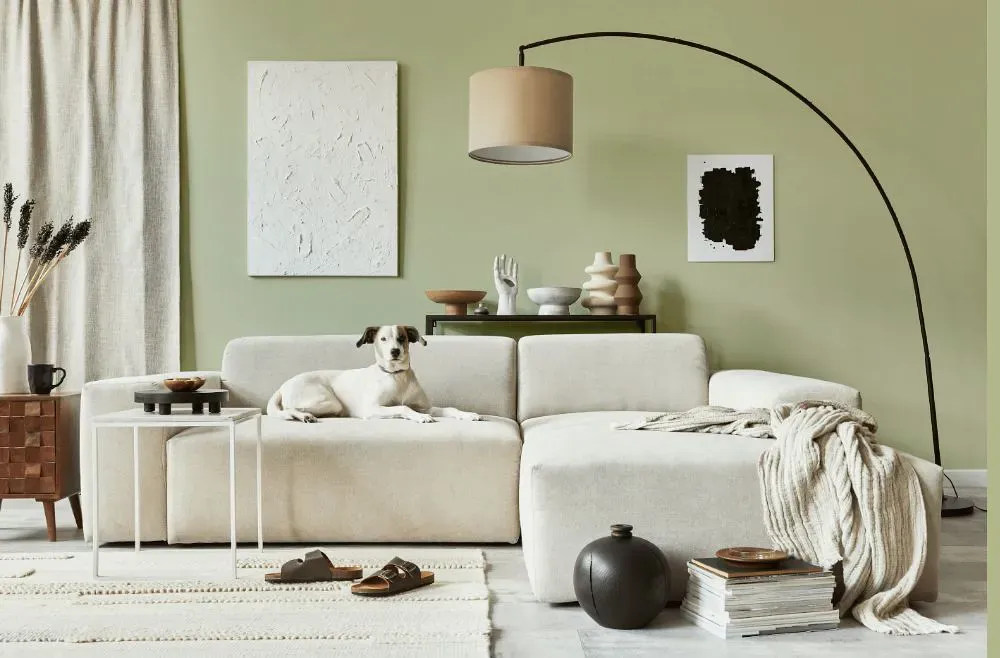 Benjamin Moore Guilford Green cozy living room