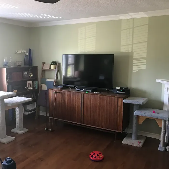 Benjamin Moore HC-116 living room paint review