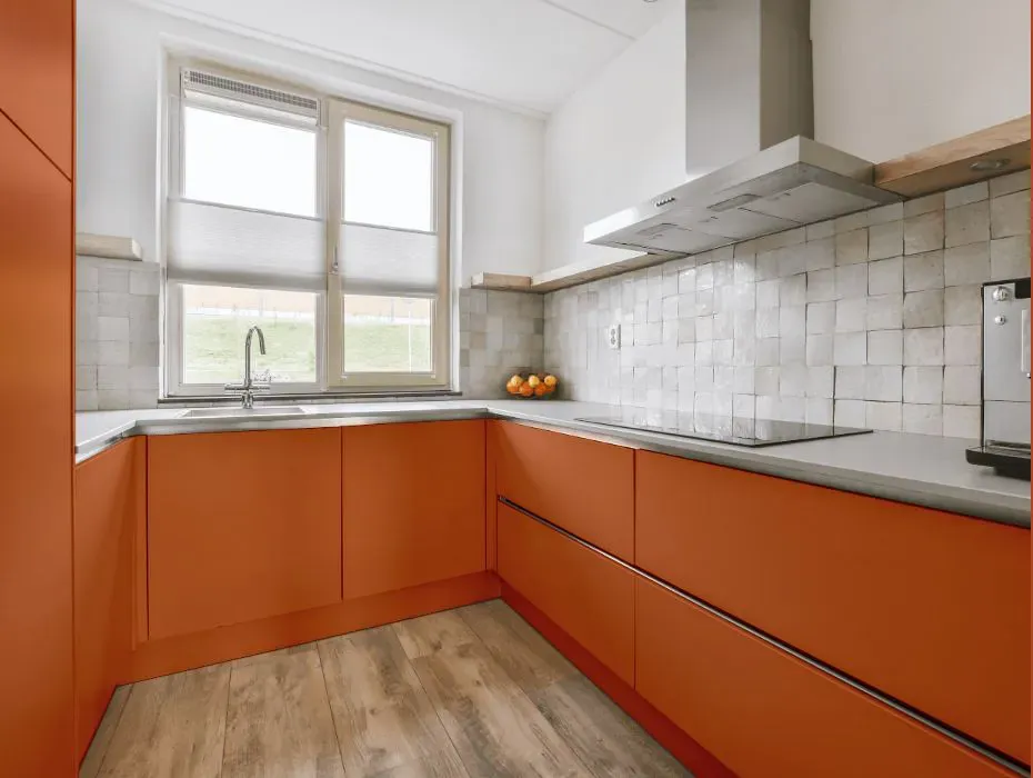 Benjamin Moore Hale Orange small kitchen cabinets
