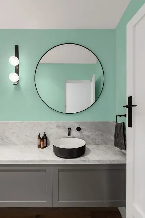Benjamin Moore Hannity Green minimalist bathroom