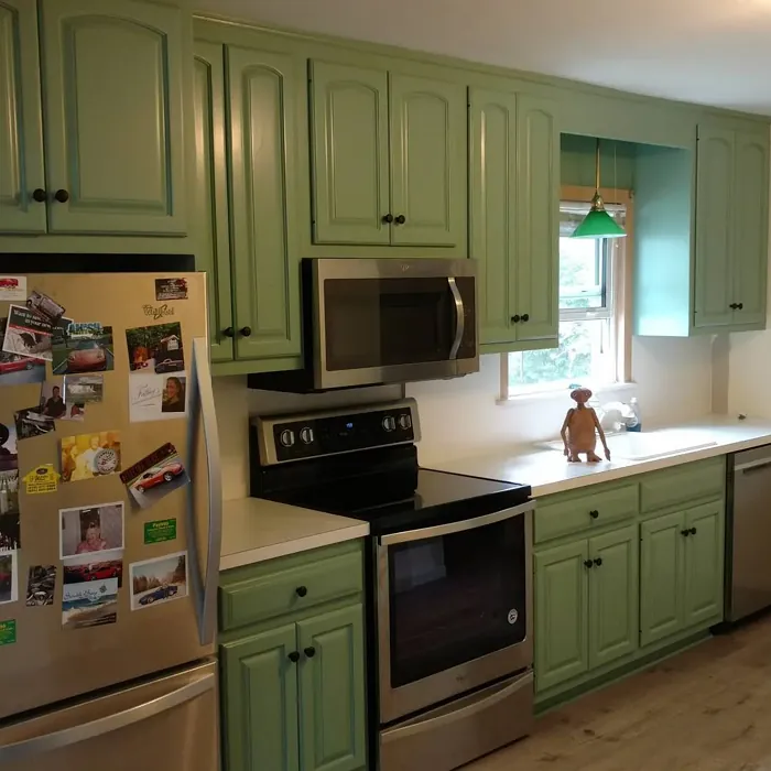 Benjamin Moore Harrisburg Green kitchen cabinets 