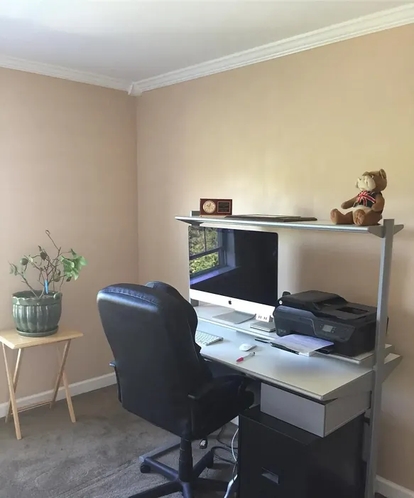 Benjamin Moore Havana Tan home office 