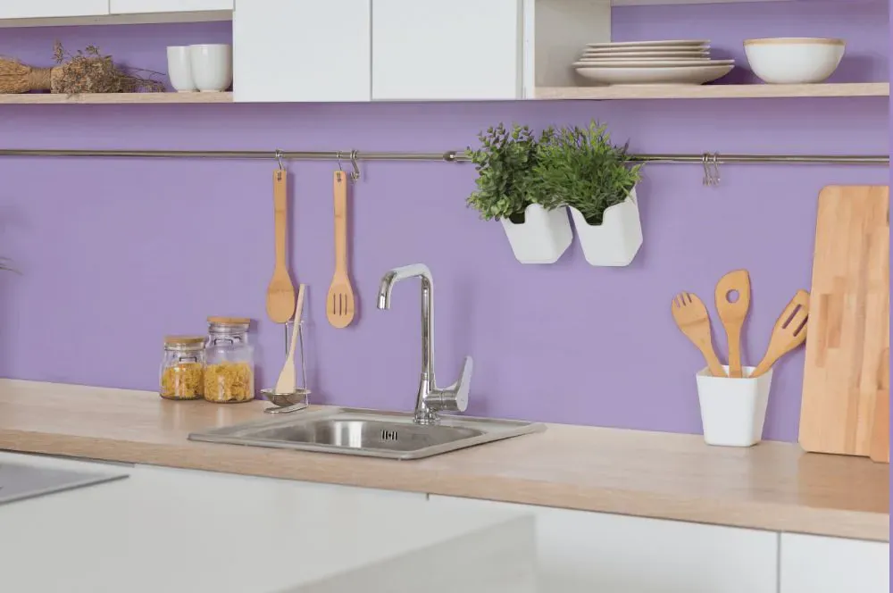 Benjamin Moore Heather Plum kitchen backsplash