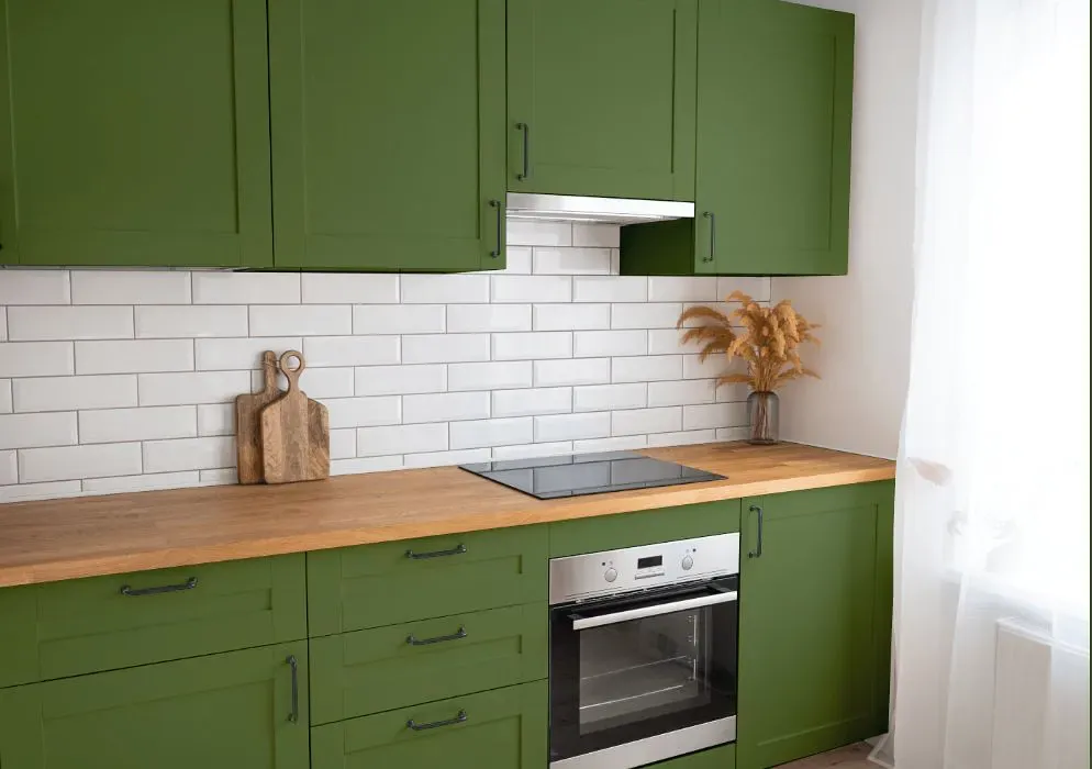 Benjamin Moore Herb Garden kitchen cabinets