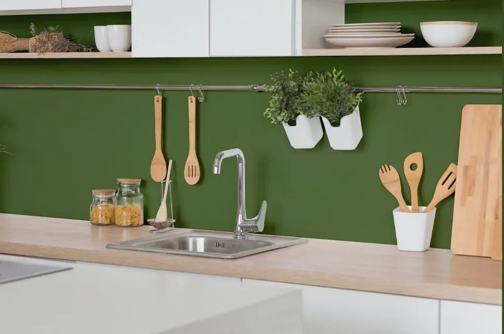 Benjamin Moore Herb Garden kitchen backsplash