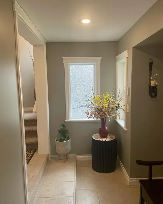 Benjamin Moore Herbal Escape hallway 