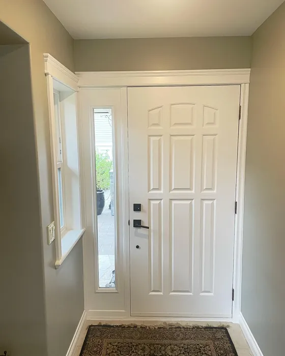 Benjamin Moore Herbal Escape hallway color