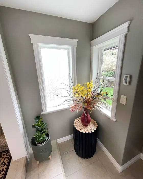 Benjamin Moore Herbal Escape hallway review