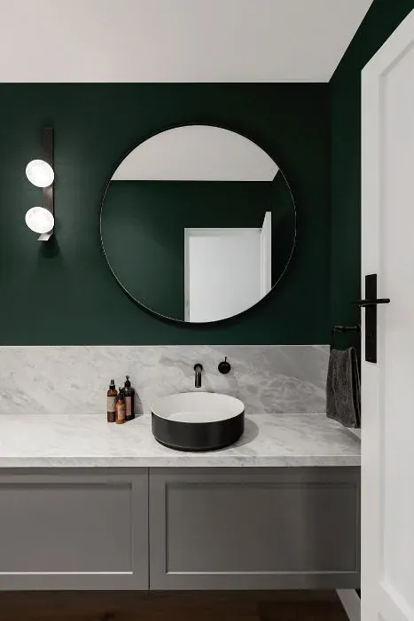 Benjamin Moore Hidden Falls minimalist bathroom