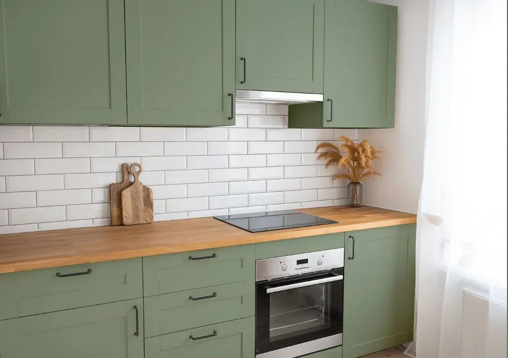 Benjamin Moore High Park kitchen cabinets