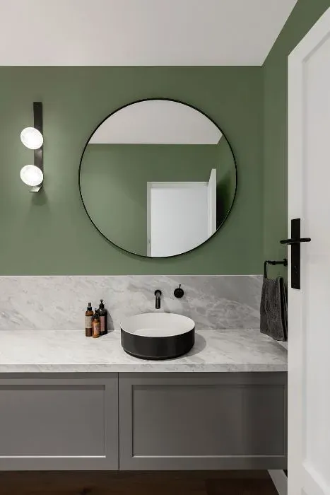 Benjamin Moore High Park minimalist bathroom