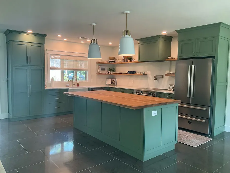 Benjamin Moore High Park kitchen cabinets paint